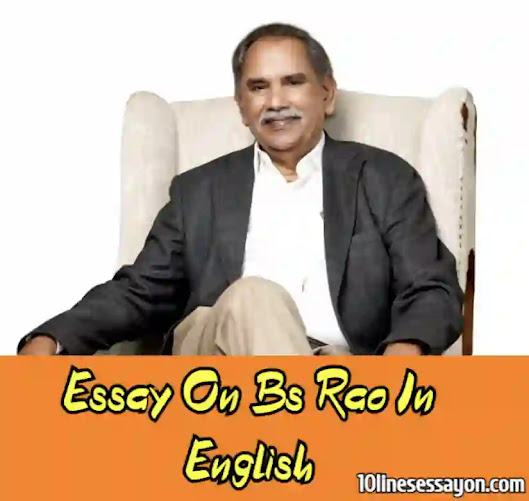 essay writing about bs rao in english